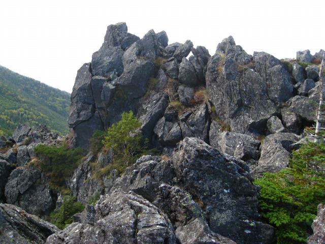 c0090236_144395.jpg