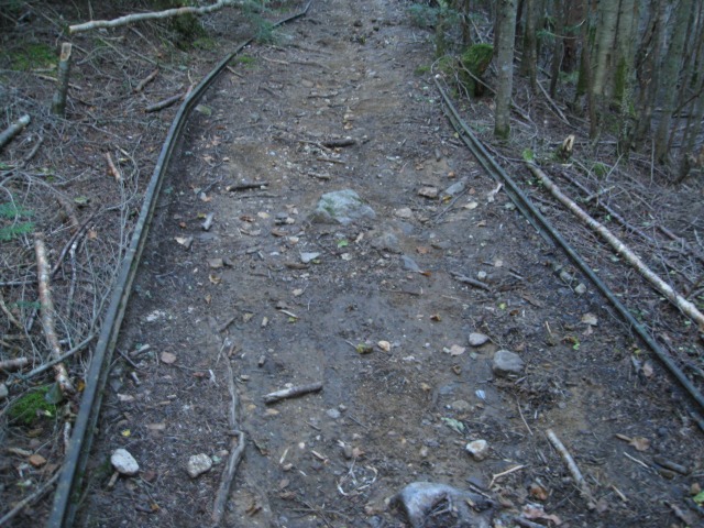 c0090236_14564360.jpg