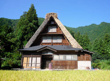 d0039443_2373035.jpg
