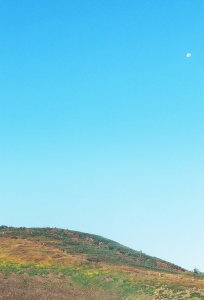 c0228945_2125465.jpg