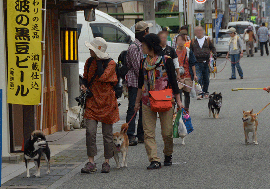 a0051849_056479.gif
