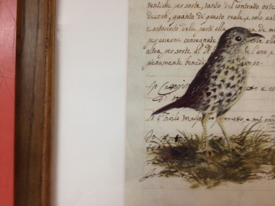 Isabelle de Boschgrave \"Bird Nest Letters\"_e0130952_18462070.jpg