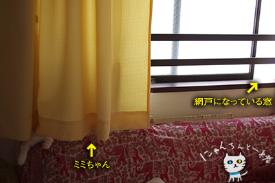 ミミちゃん 九月二十二日_e0031853_8522773.jpg