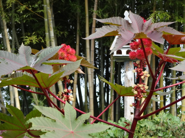 f0198556_21412159.jpg