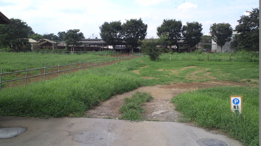 c0248464_17212015.jpg