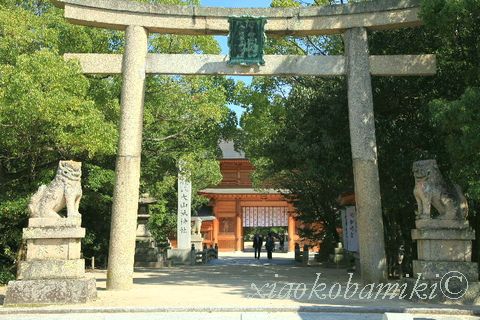 大山祇神社_d0064266_2585956.jpg