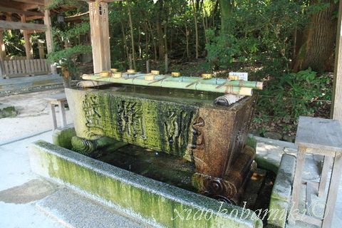 大山祇神社_d0064266_331744.jpg