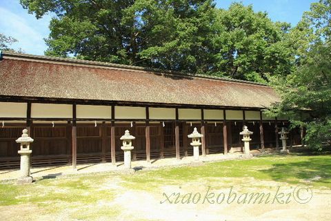 大山祇神社_d0064266_33477.jpg