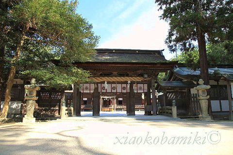 大山祇神社_d0064266_354660.jpg