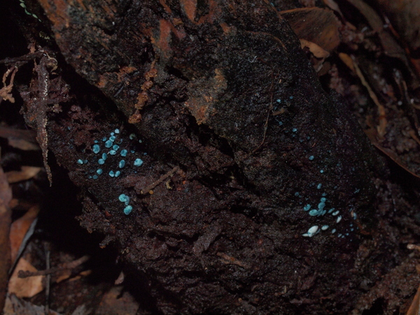 b0135573_2314480.jpg