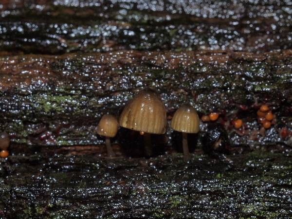 b0135573_23155818.jpg