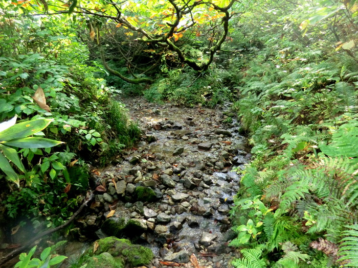 b0185573_16165627.jpg