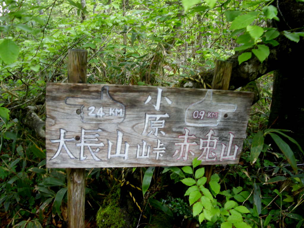 No313 加越国境・赤兎山から大長山ピストン_b0185573_1626308.jpg