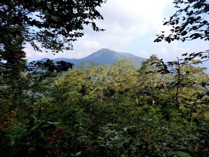 b0185573_16374893.jpg