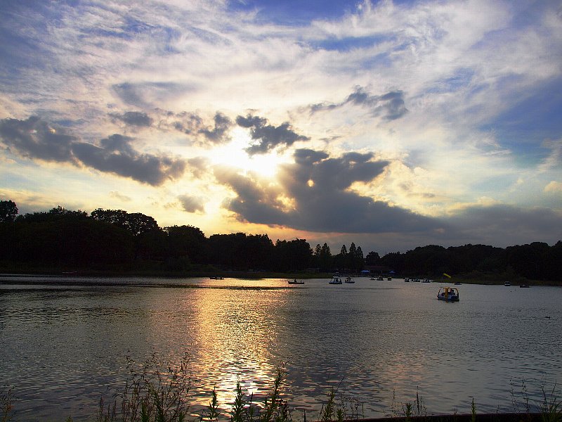 d0316677_7575922.jpg