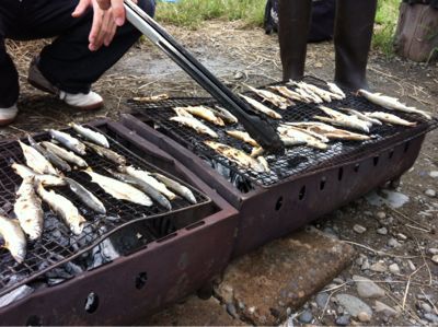 10月6日草地ガサガサと鮎の塩焼き_c0091679_1144565.jpg