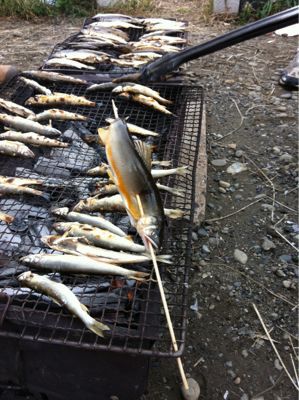 10月6日草地ガサガサと鮎の塩焼き_c0091679_1144684.jpg