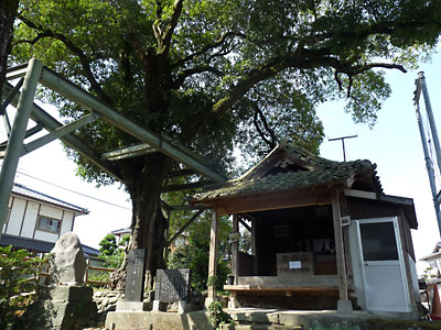 c0152779_0112676.jpg