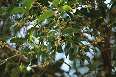 c0152779_021520.jpg