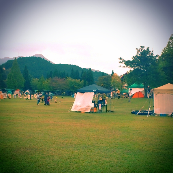 秋丹波_a0235880_1834299.jpg