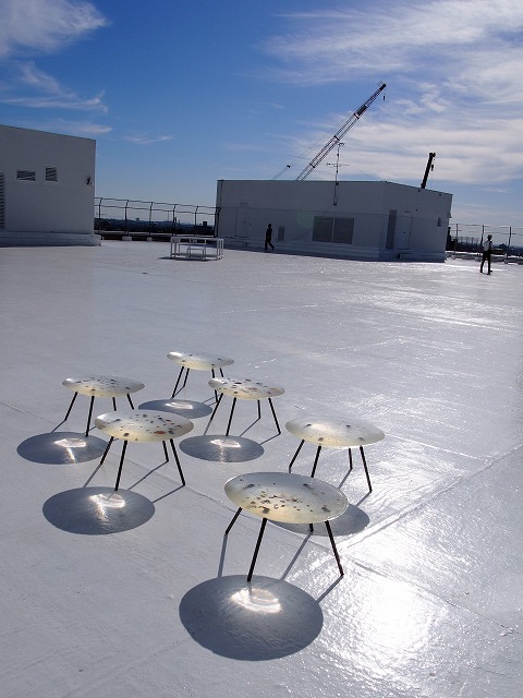 c0060482_22355774.jpg