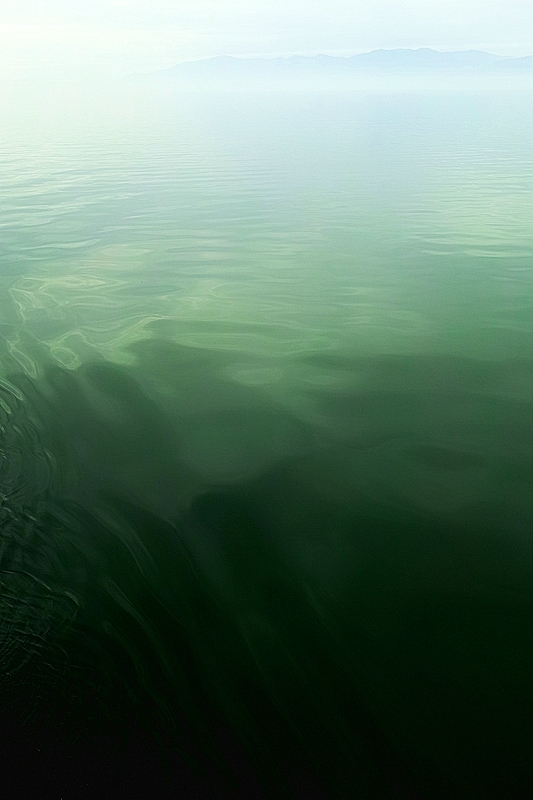 b0227088_73553.jpg