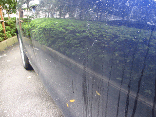 f0110488_23191667.gif