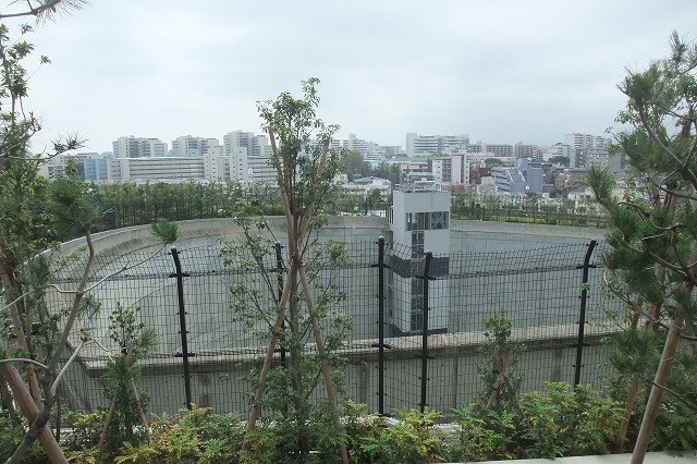 e0070891_21452580.jpg