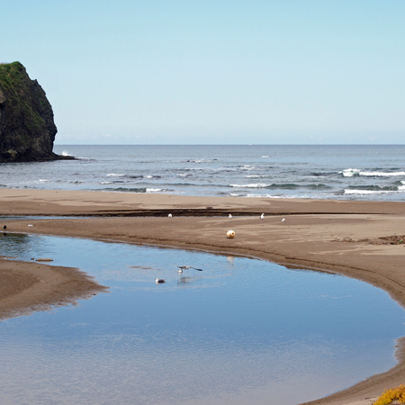 f0003598_14215679.jpg