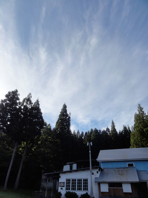 a0061599_78931.jpg
