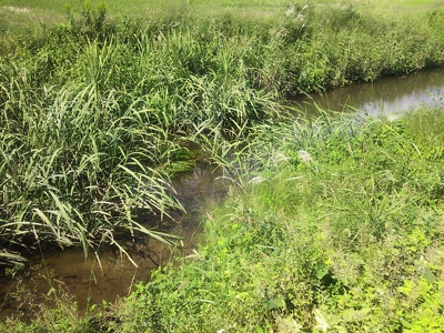 f0082402_20523767.jpg