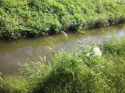 f0082402_20554410.jpg