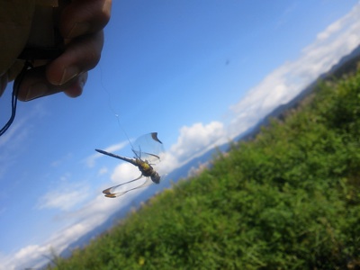 f0082402_20593959.jpg