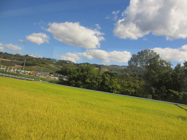 c0212604_21414990.jpg