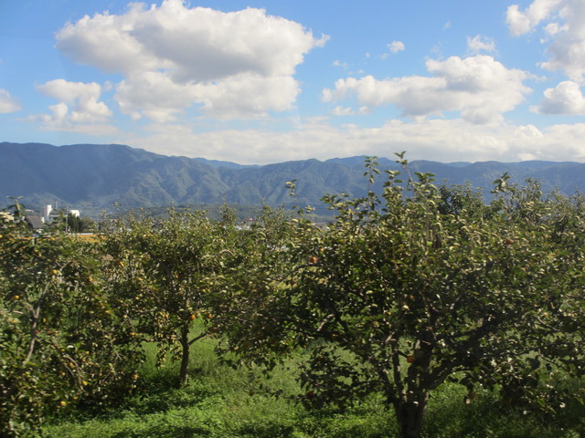 c0212604_21442664.jpg