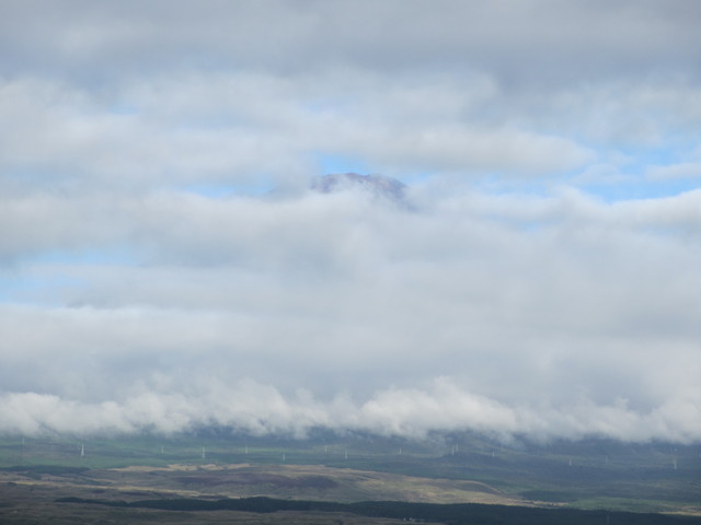 c0212604_653086.jpg