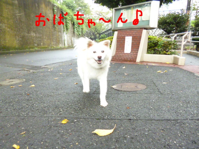 e0131506_11483117.jpg