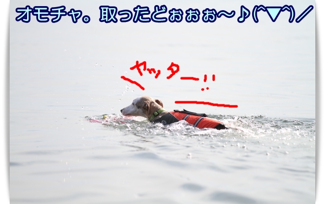 e0100007_2222279.jpg