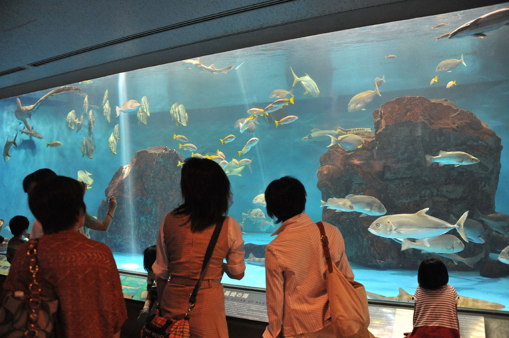 長崎 伊王島日帰りバスの旅_a0042310_1312548.jpg