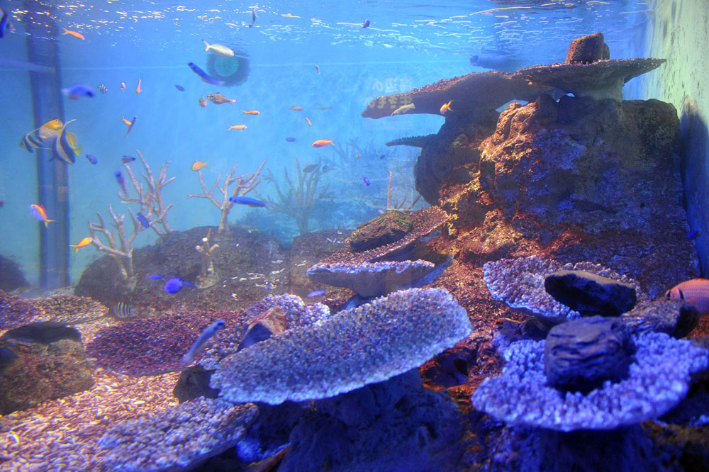 長崎 伊王島日帰りバスの旅_a0042310_1313542.jpg