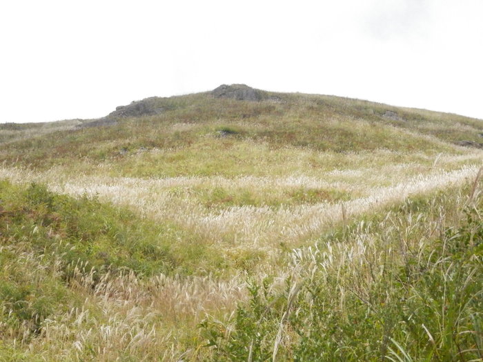 f0219710_11473882.jpg