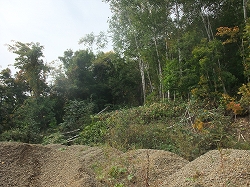 c0173813_9144492.jpg