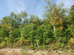 c0173813_914977.jpg