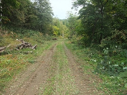 c0173813_9153626.jpg