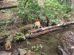 c0173813_9172879.jpg