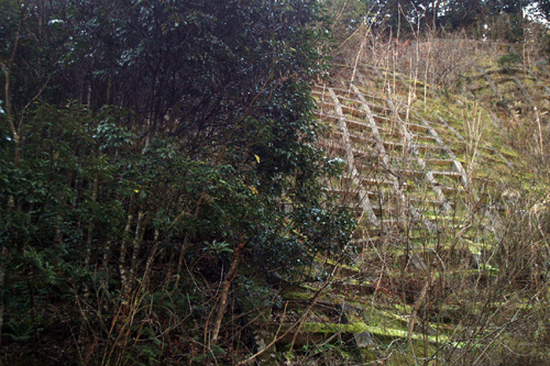 c0168815_011234.gif