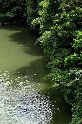 c0168815_310662.jpg