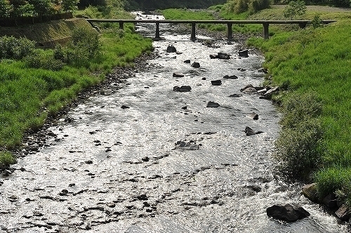 c0168815_310778.jpg
