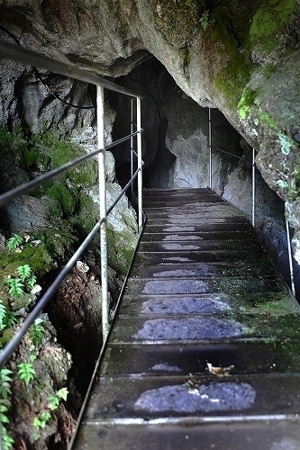 c0168815_310789.jpg