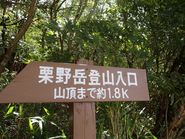 b0291016_19124736.jpg